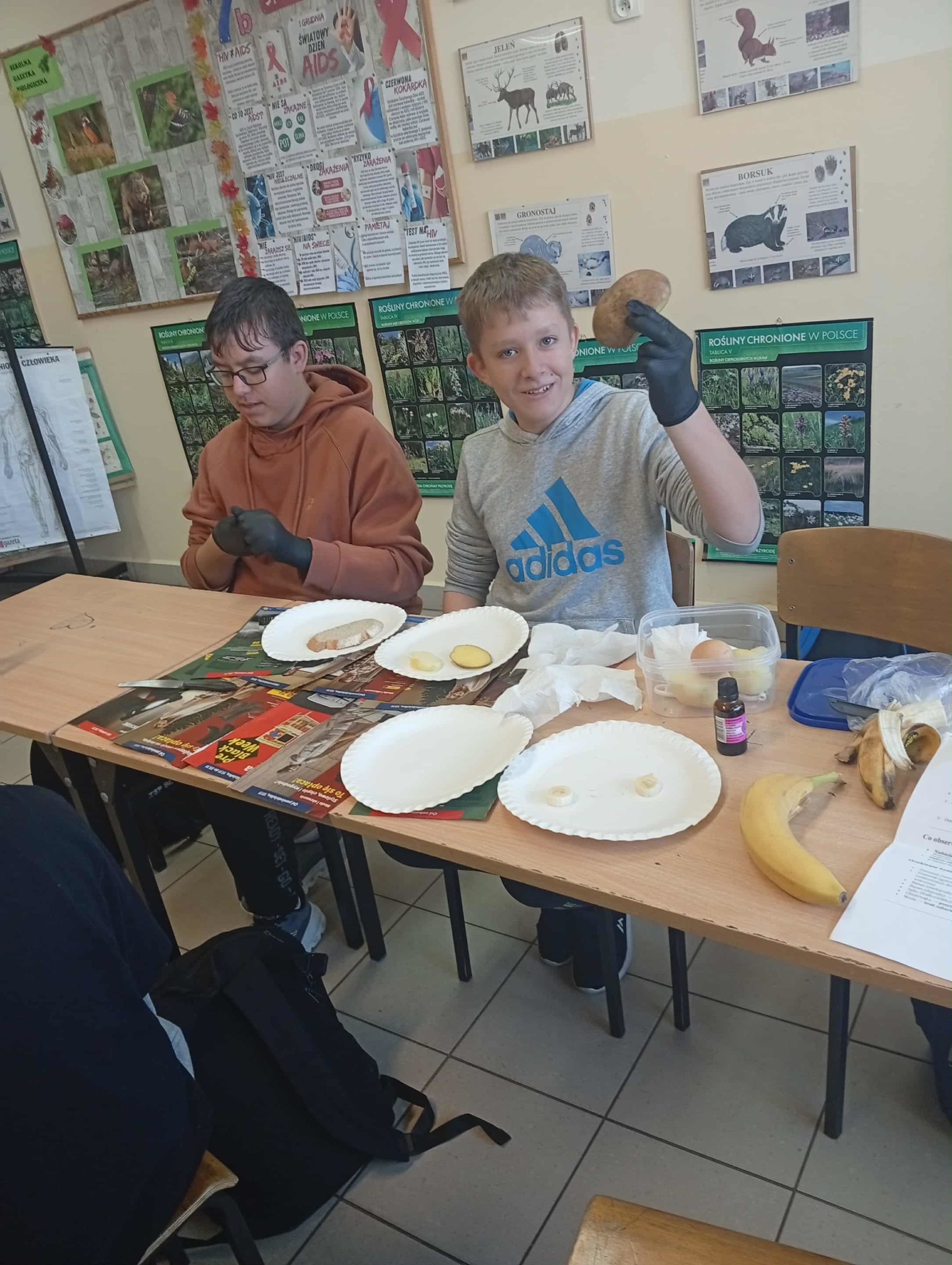 „Biologia bez tajemnic” – wykrywamy skrobię w produktach spożywczych