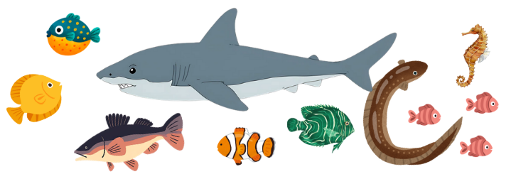 Zachwycający świat zwierząt –  ogólnopolska innowacja pedagogiczna 2025/2026