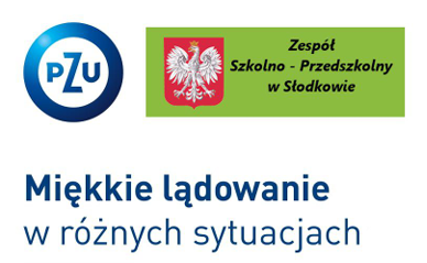 oferta ubezpieczenia PZU
