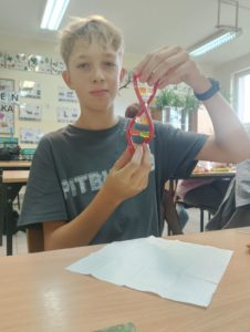 DNA z żelków, czyli jak zrozumieć genetykę