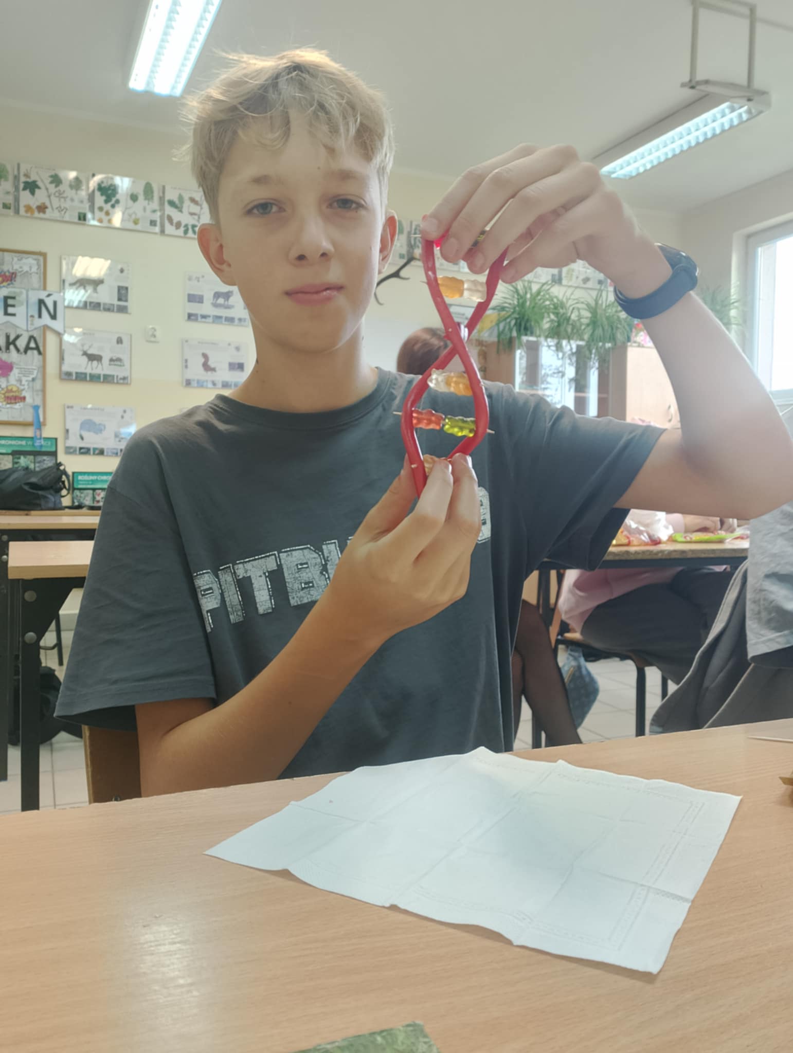 DNA z żelków, czyli jak zrozumieć genetykę