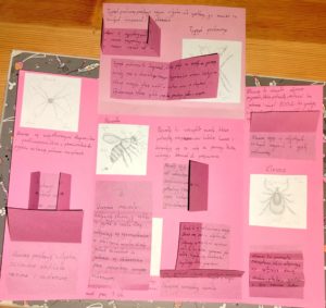 Zachwycający świat zwierząt –  ogólnopolska innowacja pedagogiczna 2025/2026