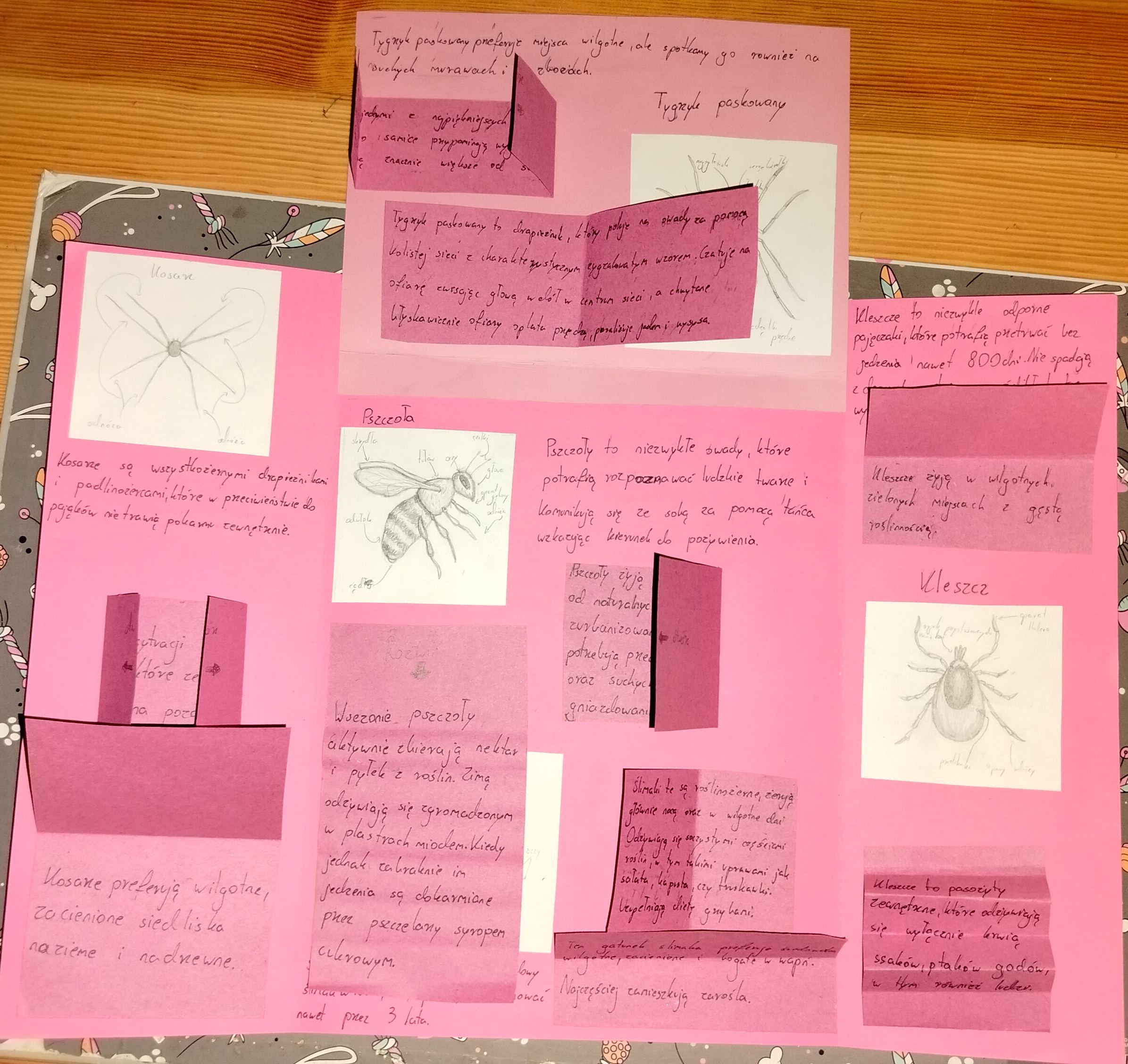 Zachwycający świat zwierząt –  ogólnopolska innowacja pedagogiczna 2025/2026