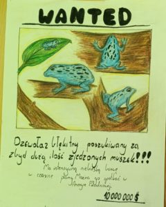 Zachwycający świat zwierząt –  ogólnopolska innowacja pedagogiczna 2025/2026